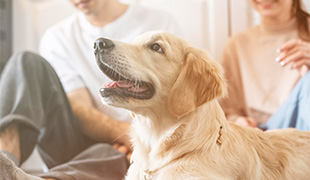 感性に響くご提案